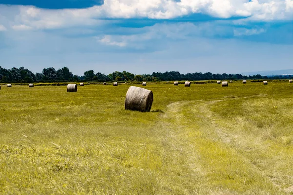 Balle Foin Sur Prairie Avec Ciel Bleu Collines Paysage Agricole — Photo
