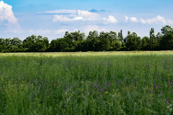 Farming landscape with mountains and peaceful colors. Perfect background for blog articles or website