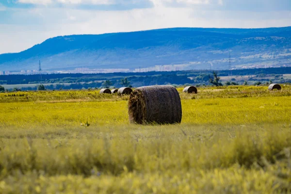 Balle Foin Sur Prairie Avec Ciel Bleu Collines Paysage Agricole — Photo