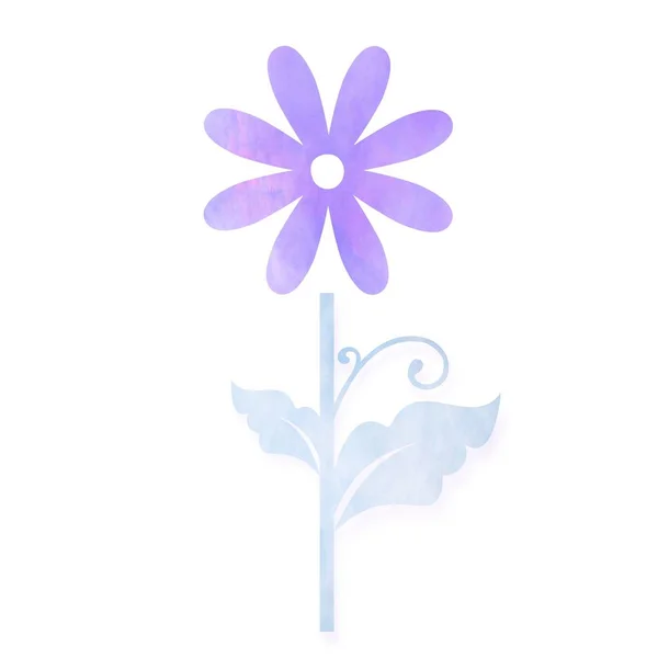 Illustrazione Fiore Acquerello Stile Viola — Foto Stock