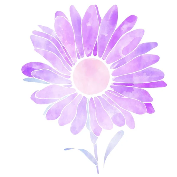 Watercolor Flower Illustration Purple Style — Stock Photo, Image