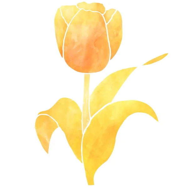 Akvarell Virág Illusztráció Sárga Arany Stílusban — Stock Fotó