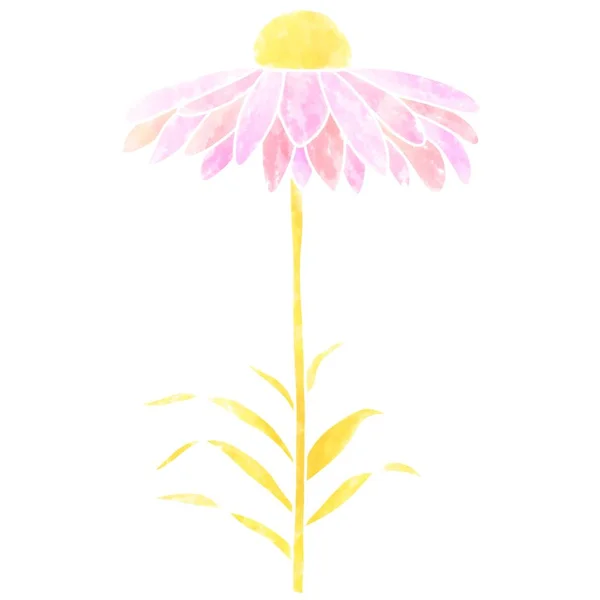 Aquarell Blumenillustration Mit Gelb Goldenem Stil — Stockfoto