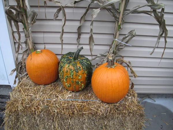 Three Pumpkins Bale Hay Stalks Corn Fall Display — Stock Photo, Image