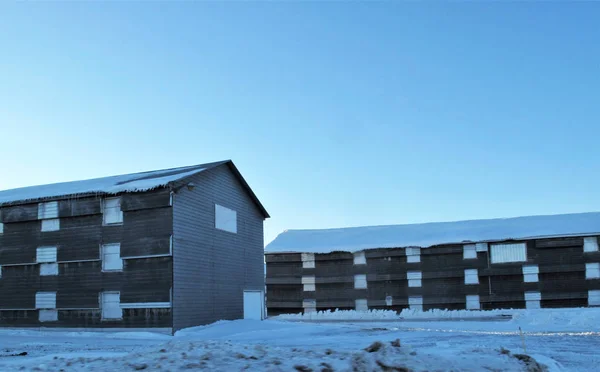 Poultry Farms Closed Windows Winter — Stock Photo, Image