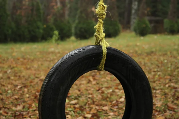 秋に緑のロープで吊るされた黒いタイヤ — ストック写真