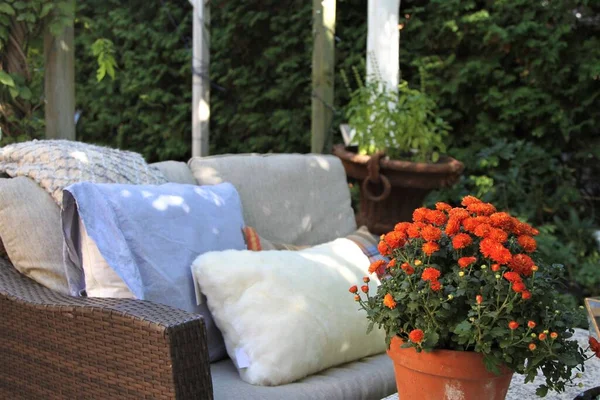 テーブルの上にウィッカーソファと鉢植えの秋の植物のクッションと屋外の座席配置 — ストック写真