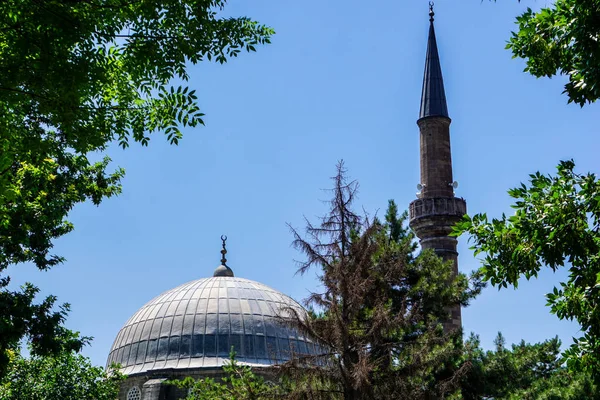 Мечети Между Деревьями — стоковое фото
