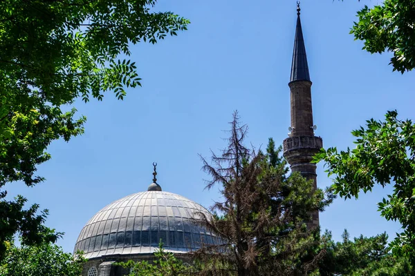 Mosquées Entre Les Arbres — Photo