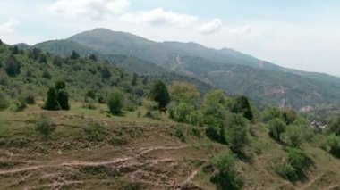 İHA kamerası atların üzerinden uçar dağın eteklerindeki ağaçların altına bakar ve yeşil dağları vurur.