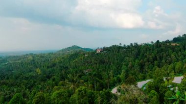 Bali 'de pirinç terasları sulanıyor. Kuşlar yukarıda uçuyor. Tarlaların yanında kiremit çatılı küçük bir ev var. İnsansız hava aracı.