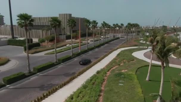 Camera Volgt Zwarte Sportwagen Straat Met Palmbomen Dubai Droneantenne — Stockvideo