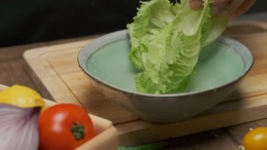Profesyonel şef lahana yapraklarını hazırlar ve yıkar. Yavaş çekim