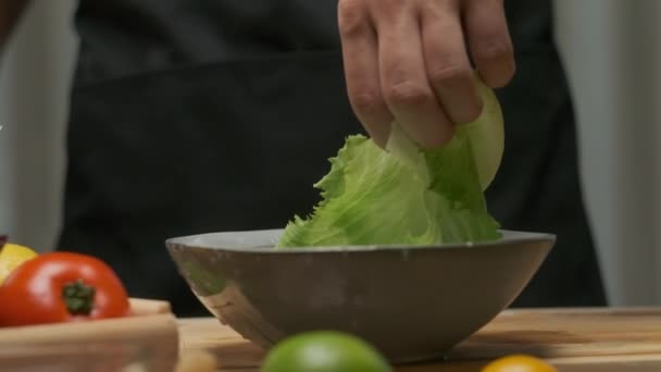 Profesionální Kuchař Připravuje Myje Listy Zelí Zpomalený Pohyb — Stock video