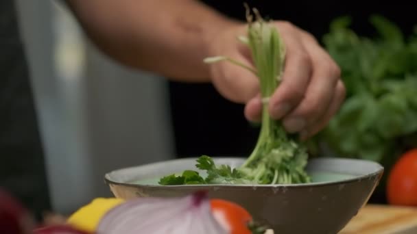 Profesionální Kuchař Myje Připravuje Listy Koriandru Zavřít Zpomalený Pohyb — Stock video