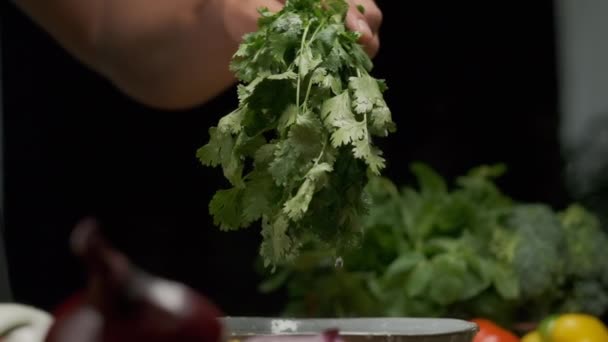 专业厨师洗净和准备香菜叶 闭合慢动作 — 图库视频影像