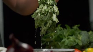 Profesyonel şef kişniş yapraklarını yıkar ve hazırlar. Ağır çekimde kapat.