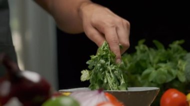 Profesyonel şef kişniş yapraklarını yıkar ve hazırlar. Ağır çekimde kapat.