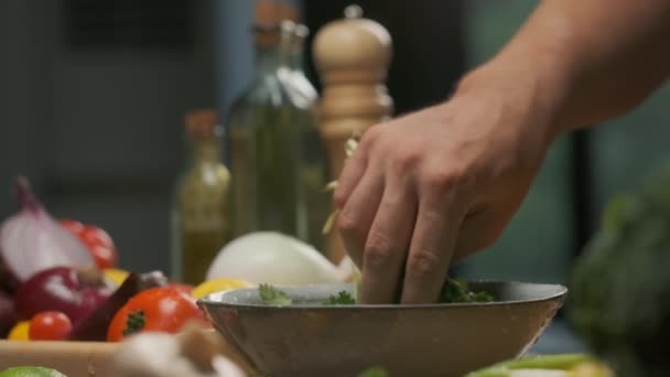 Profesionální Kuchař Myje Připravuje Listy Koriandru Zavřít Zpomalený Pohyb — Stock video