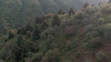 Sabahın erken saatlerinde insansız hava aracı tarafından çekilen Orta Asya dağ manzarası.