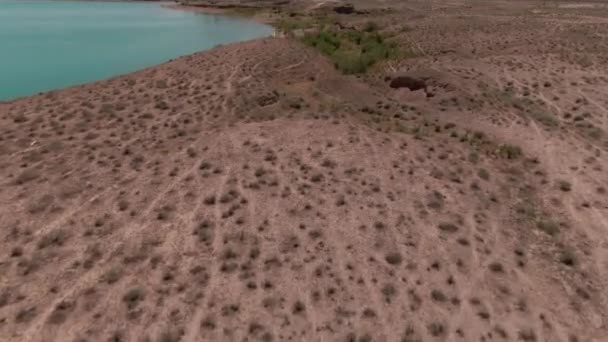 Blauw Brak Water Meer Het Midden Van Woestijn Gefilmd Door — Stockvideo