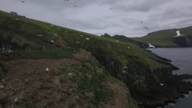 Faroe Adaları 'nın sahil kayalıkları ve deniz kuşları. Bulutlu bir günde çekilen