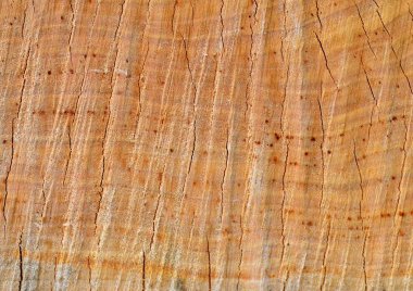 Kesme günlükleri, ahşap doku, hayat yüzük, sunumlar, duvar kağıdı için arka plan