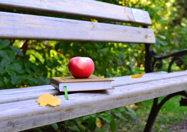 An book lies on a bench in the park, next to it is a red apple and yellow autumn leaves.