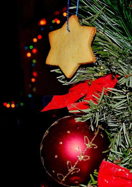 Χριστουγεννιάτικο Δέντρο Διακοσμημένο Κόκκινες Μπάλες Παραδοσιακά Μπισκότα Τζίντζερ Και Λαμπερά — Φωτογραφία Αρχείου
