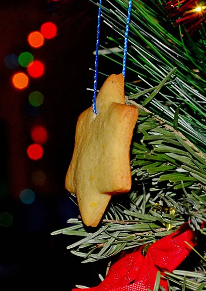 Árvore Natal Decorada Com Biscoitos Gengibre Tradicionais Ouropel Brilhante — Fotografia de Stock