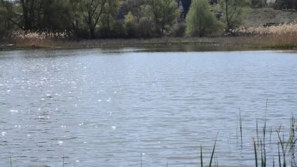 湖中波光粼粼的水的视频 博客和网站的背景 — 图库视频影像