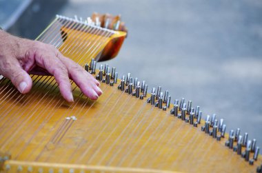 Antik closeup telli müzik aleti bandura ve erkek han