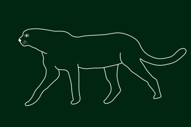 Yeşil arka planda zarif, güçlü bir yırtıcı çitanın beyaz çizgisi, şirket logosu ya da sembolü. Vektör Eps 10