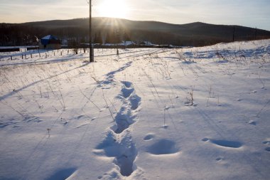 Karlı kış glade arka planı kırsal konutlarında ve orman içinde bir adam izleri.