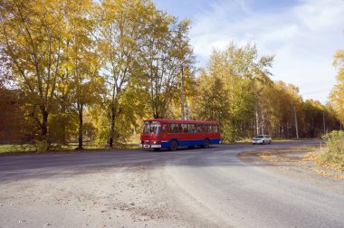 Düzenli otobüs yolcu sonbahar sarı ağaçlar geçmiş yol boyunca alır.