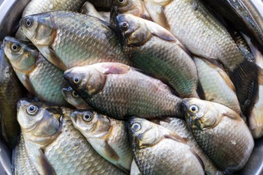 Taze balık roach plaka çok sayıda yatıyor parlak küçük göl yıkanmış.