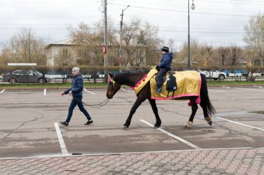Krasnoyarsk, Rf - 9 Mayıs 2018: Genç bir adam üzerinde zafer gün ikinci Dünya Savaşı kutlama sırasında sokakta bir çocuk rides zarif bir at yol açar. Krasnoyarsk. Krasnoyarsk Bölgesi. Rusya.