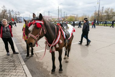 Krasnoyarsk, Rf - 9 Mayıs 2018: Zarif bir at zafer gün ikinci Dünya Savaşı kutlama sırasında binmek için isteyenler için bekleyen Şehir Meydanı duruyor. Krasnoyarsk. Krasnoyarsk Bölgesi. Rusya.