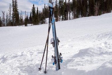 İğne yapraklı orman arka planı beyaz bir rüzgârla oluşan kar yığını tribünde sopa ile alp disiplini.