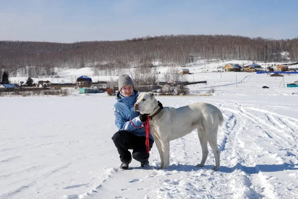 Young Girl Communicates Big White Shepherd Dog Snow White Frozen — Stock Photo, Image