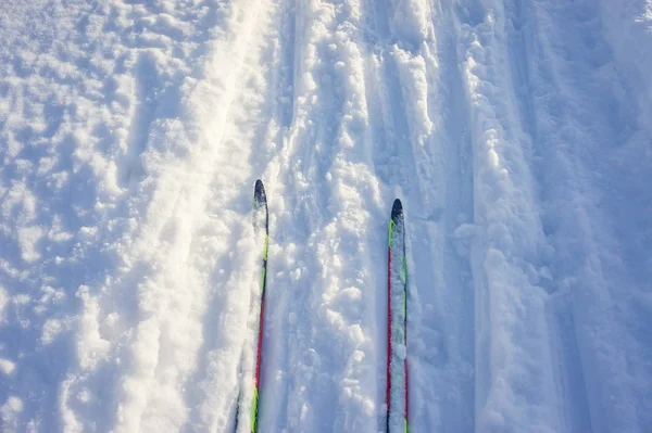 Two cross-country skis stand on the track in the snow on a sunny day.