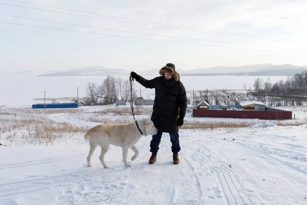 Young Man Walks Big Dog Countryside Frozen Lake Winter — Stock Photo, Image