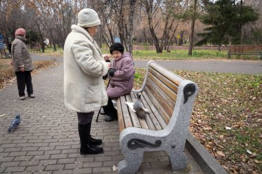 Krasnoyarsk, Krasnoyarsk Bölgesi / Rf - 30 Ekim 2018: yaşlı kadın yürümek ve sincap ve sonbahar Krasnoyarsk Central Park şehirde tezgah yakınındaki güvercin beslemek.