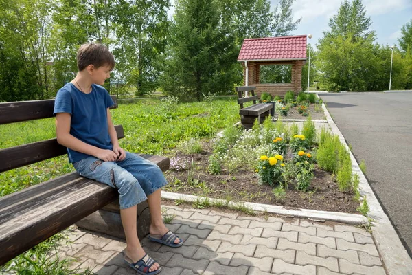 Töprengő Éves Fiú Egy Pad Parkban Nyári Napsütésben — Stock Fotó