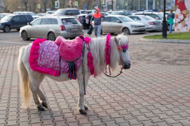 Park arka plan karşı kaldırımda küçük zarif beyaz at standları.
