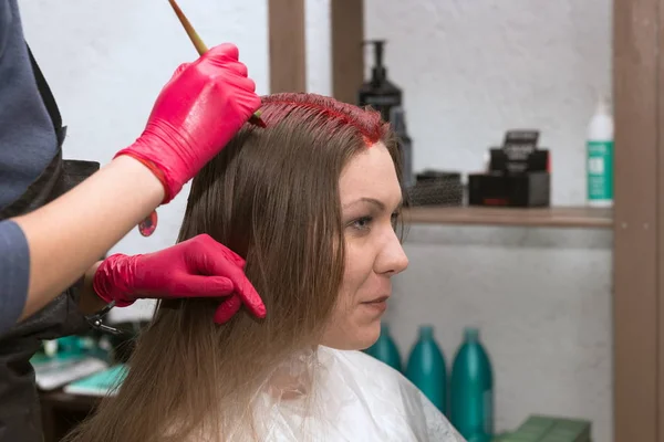 Hands Hairdresser Red Gloves Brush Client Hair Red — Stock Photo, Image