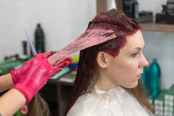 Hands Hairdresser Red Gloves Dye Hair Strand Client Girl Red — Stock Photo, Image