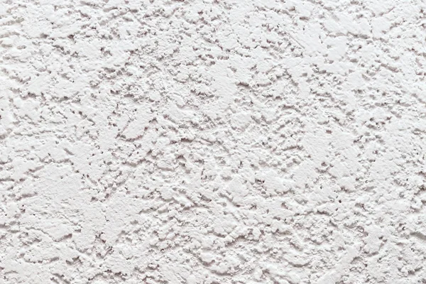 Embossed white wall trimmed with decorative plaster.