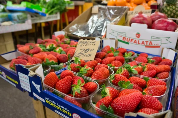 Florenz Italien Januar 2019 Reife Rote Erdbeeren Werden Auf Der — Stockfoto