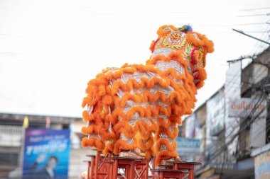 Çin Yeni Yıl Ejderha Başkanı
